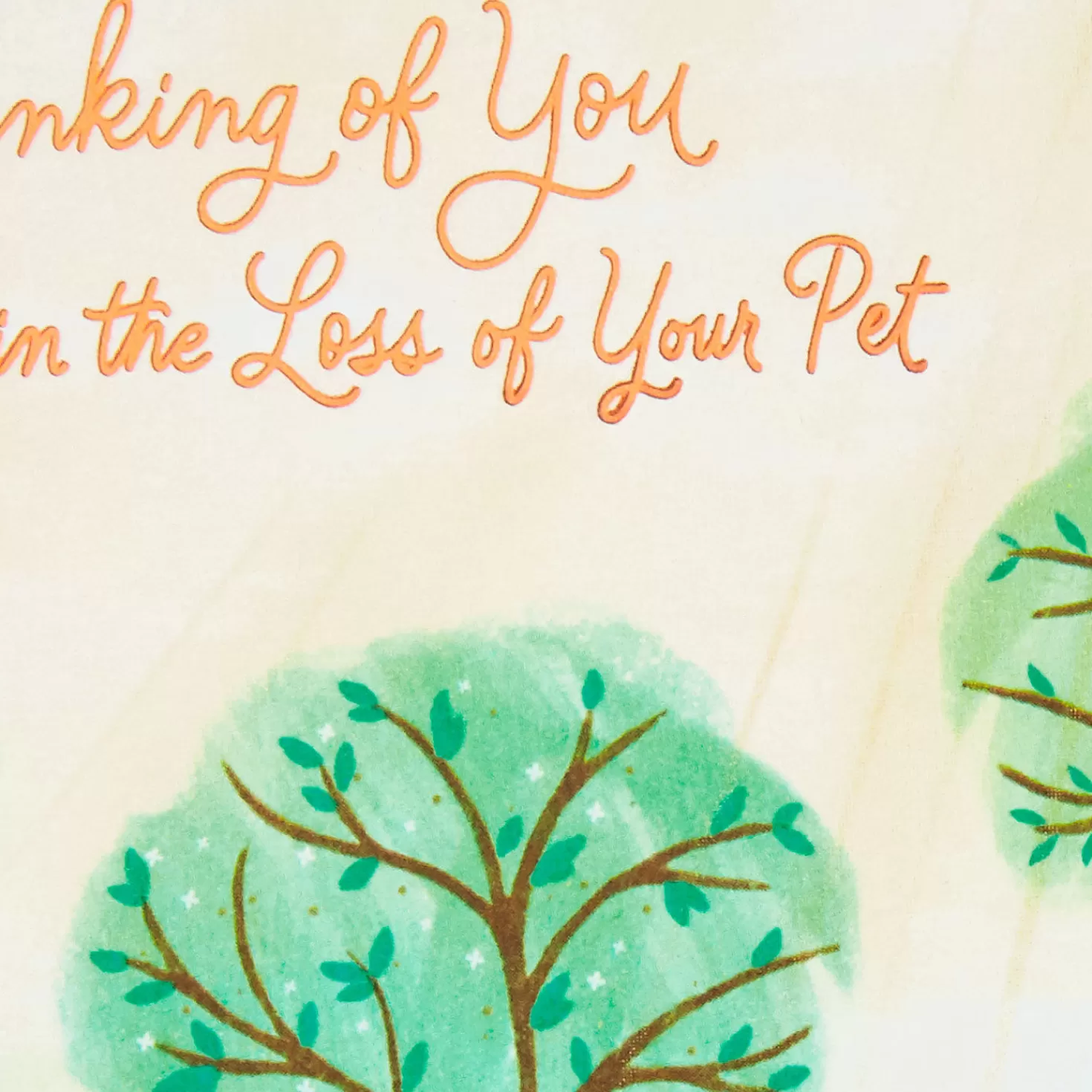 Discount Wishing You Peace And Comfort Sympathy Card For Loss Of Pet Sympathy