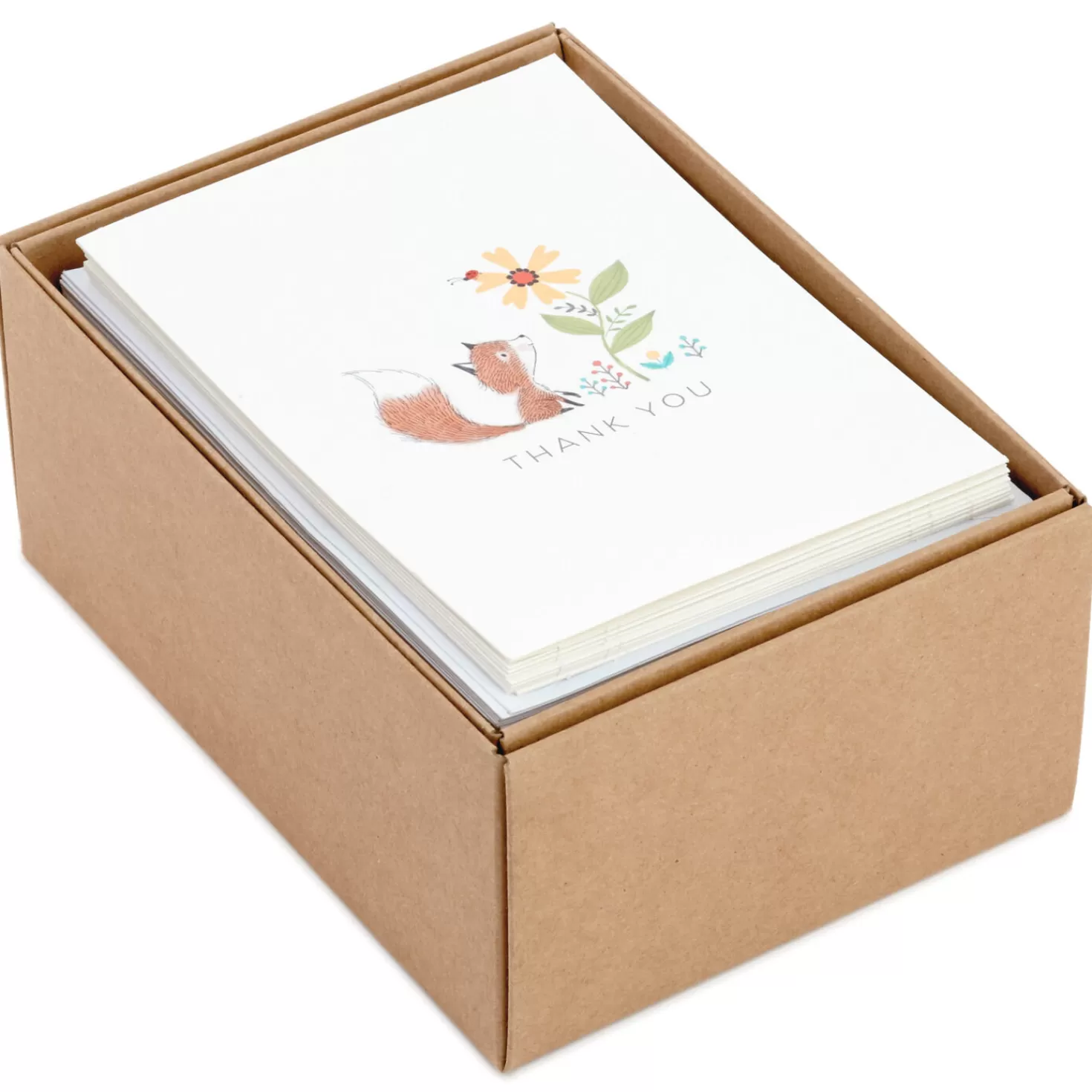 Outlet Woodland Animals Assorted Blank Thank-You Notes, Box Of 48 Thank You