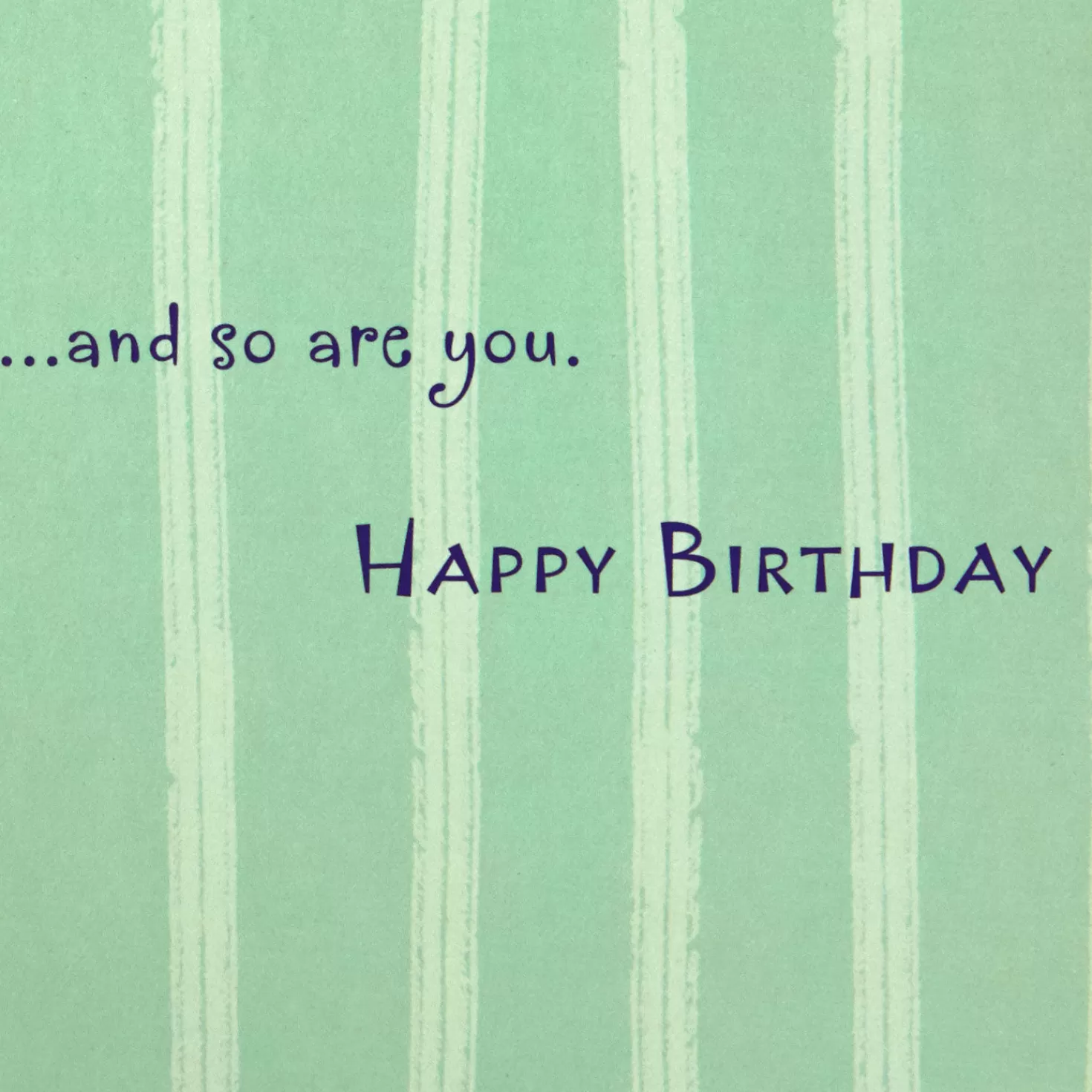 Birthday>Hallmark You Are A Gift Birthday Card