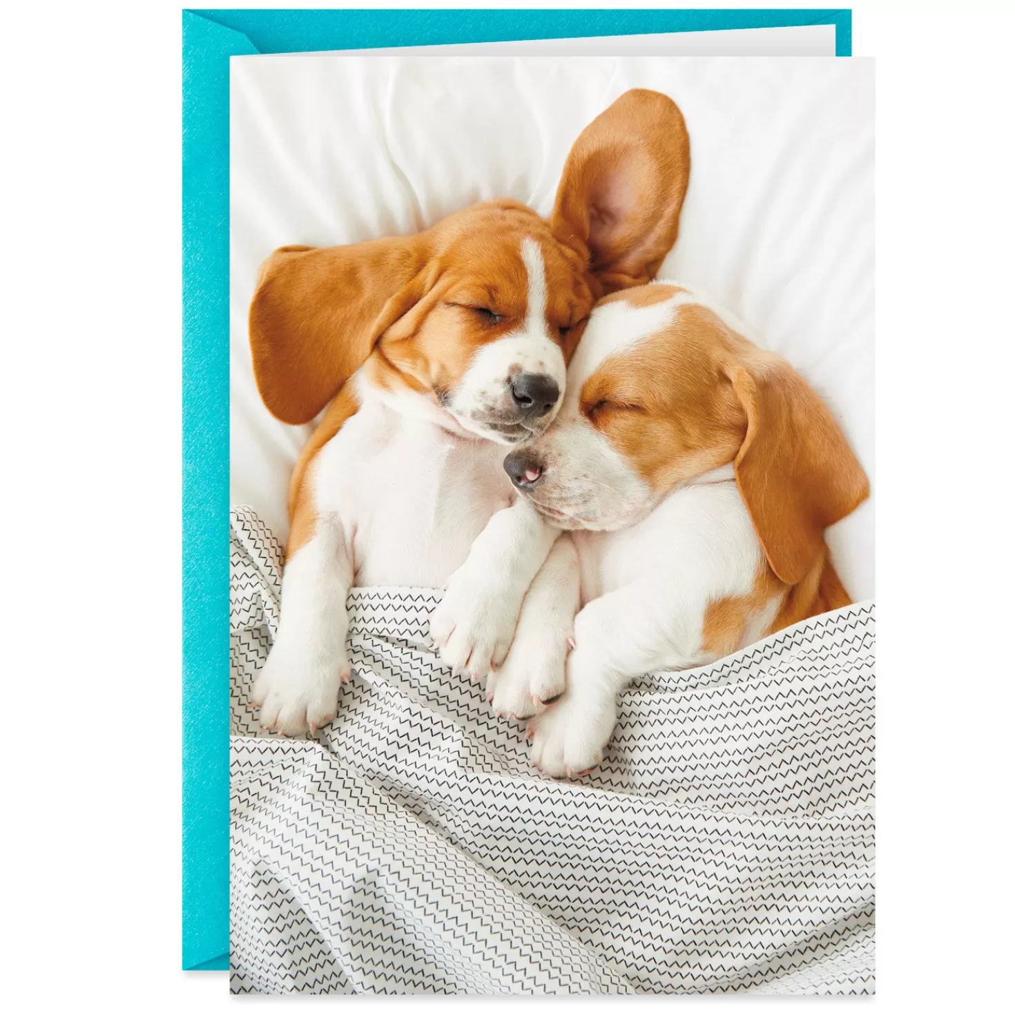 Anniversary>Hallmark You Guys Are Still The Cutest Anniversary Card