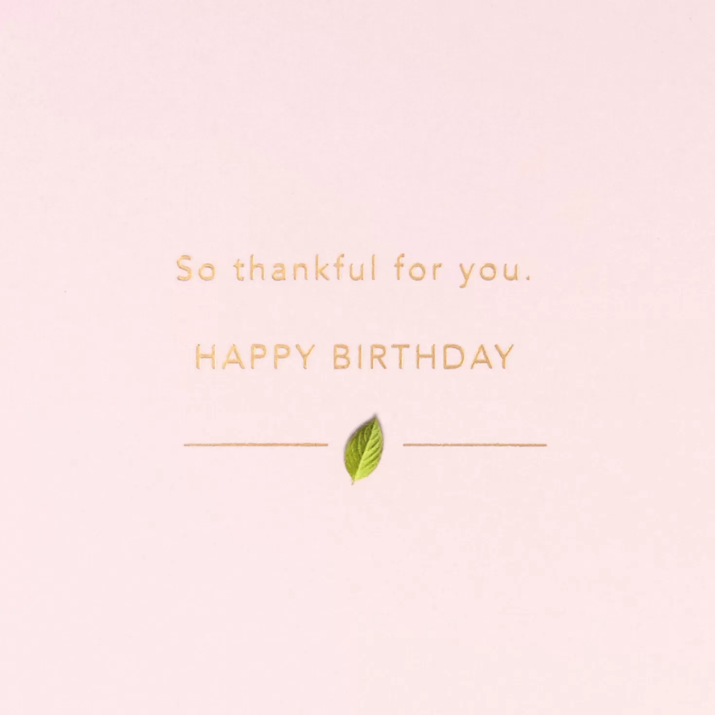 Birthday>Hallmark You Make Life Beautiful Birthday Card
