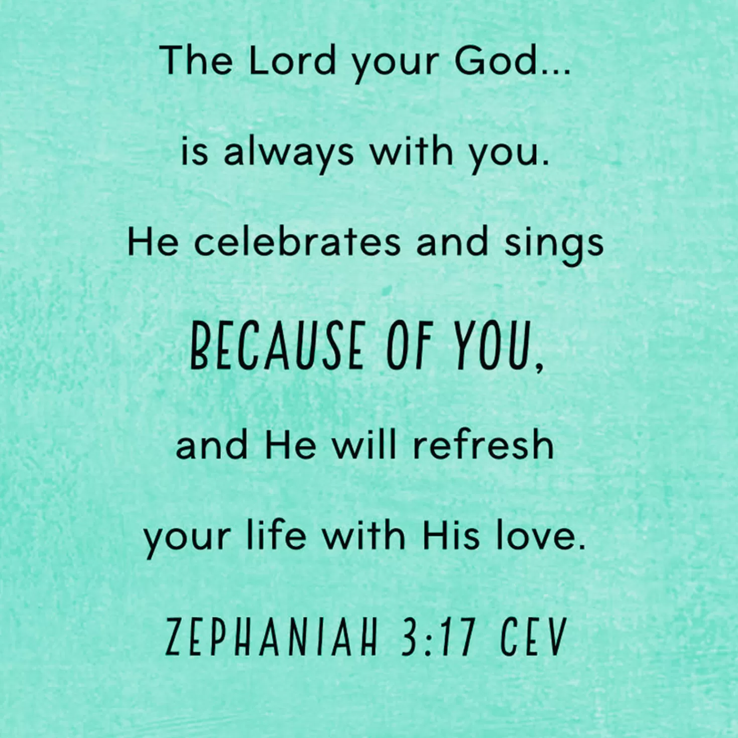 Birthday>Hallmark You'Re Amazing And My Timing Isn'T Belated Religious Birthday Card