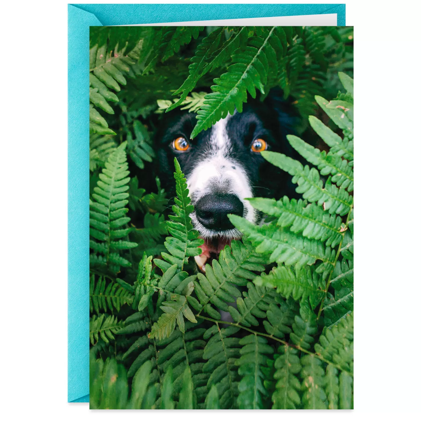 New You'Re Awesome Beyond Be-Leaf Funny Congratulations Card Encouragement