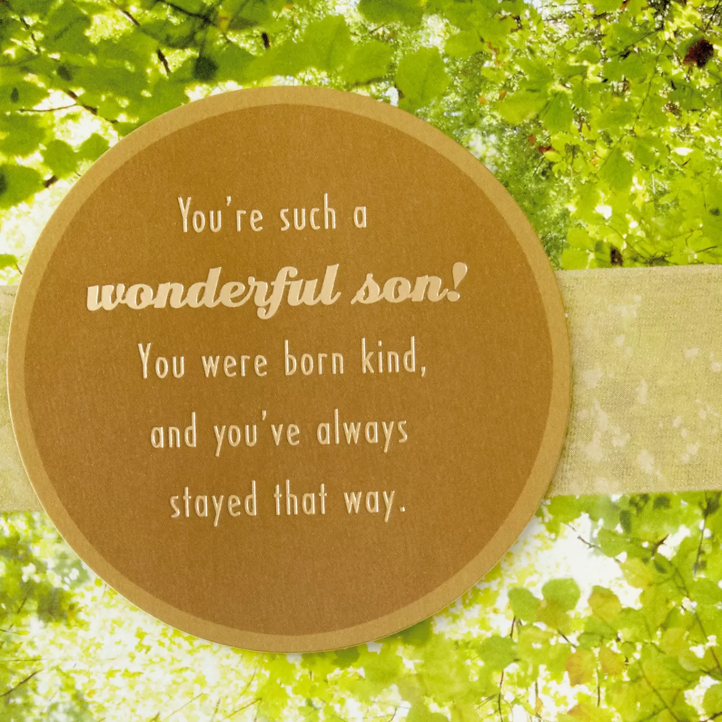 Birthday>Hallmark You'Re Extra Deserving Of Praise Birthday Card For Son