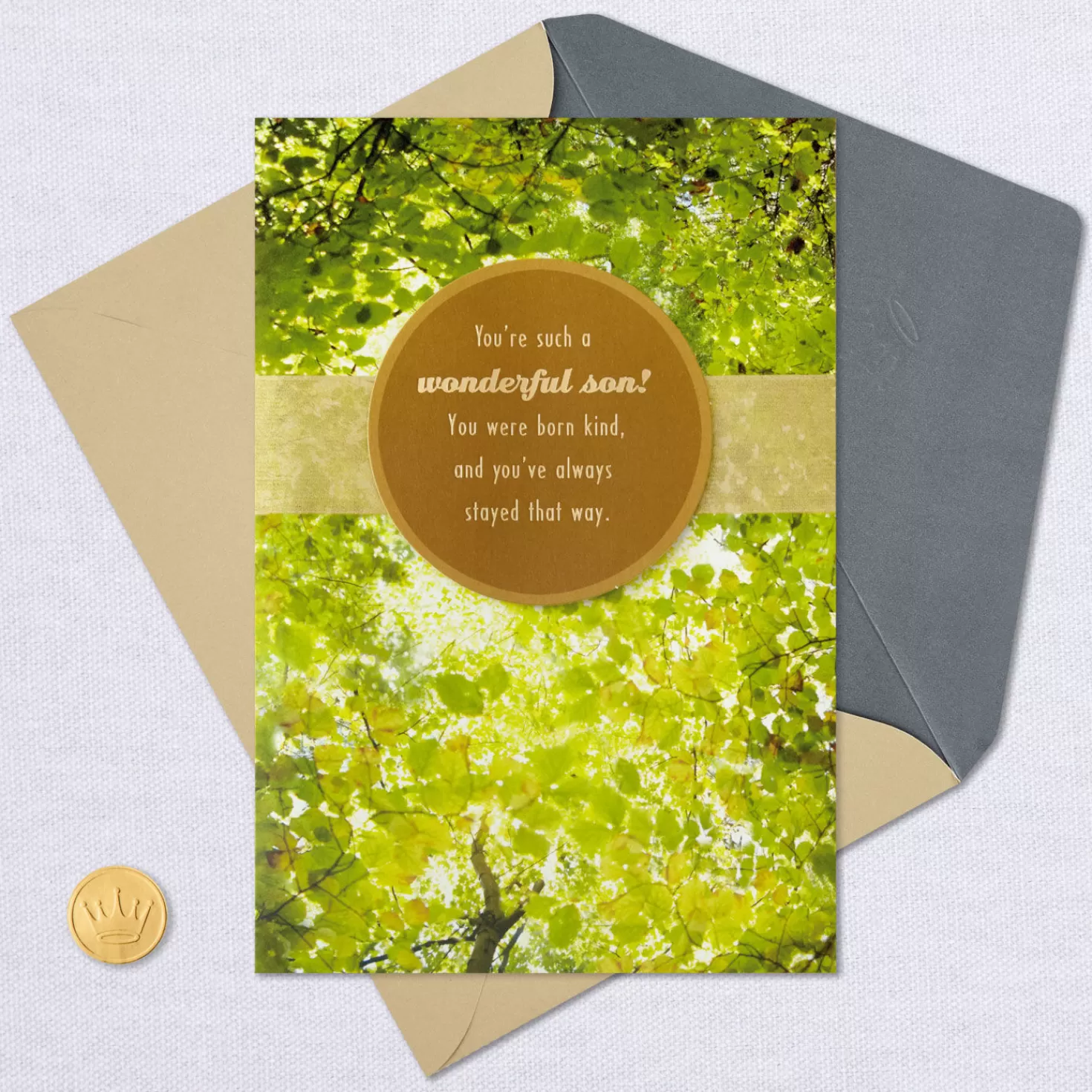 Birthday>Hallmark You'Re Extra Deserving Of Praise Birthday Card For Son