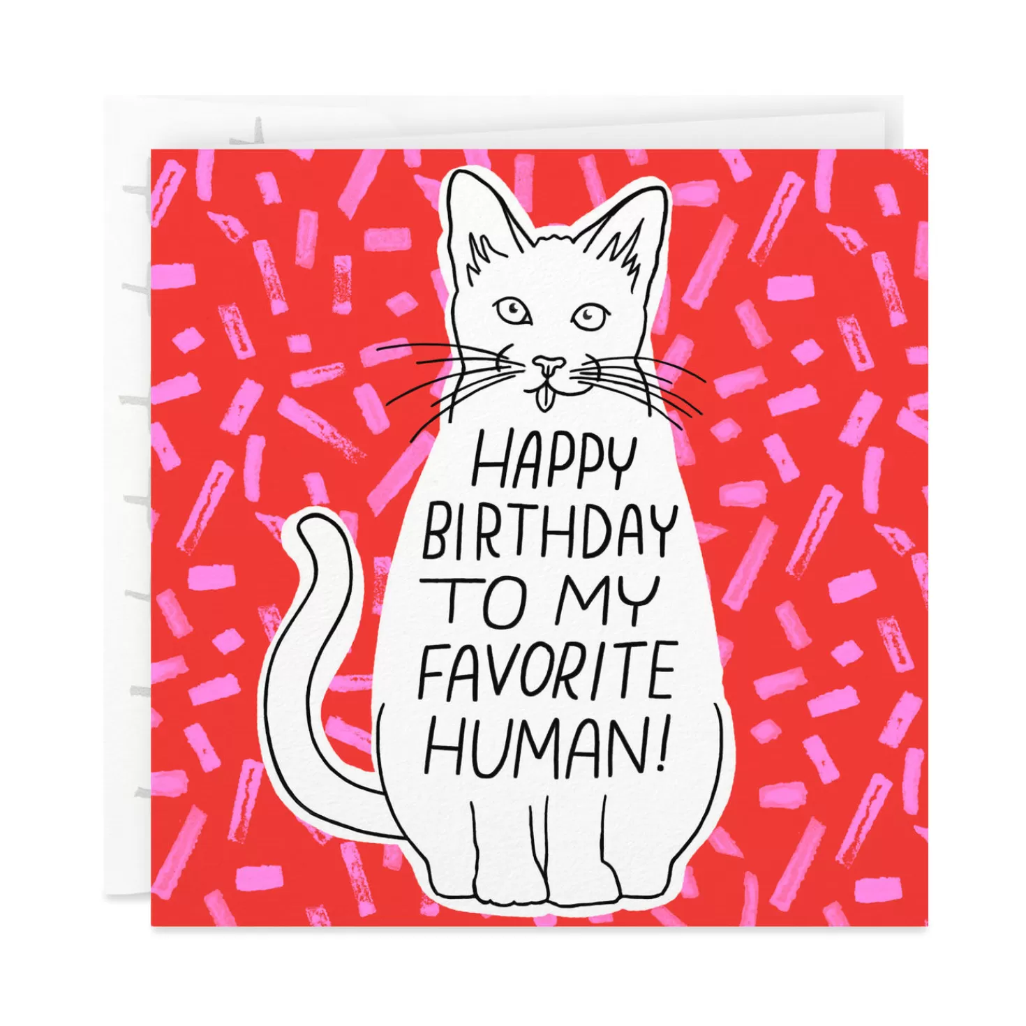 Birthday>Hallmark You'Re My Favorite Birthday Card From The Cat