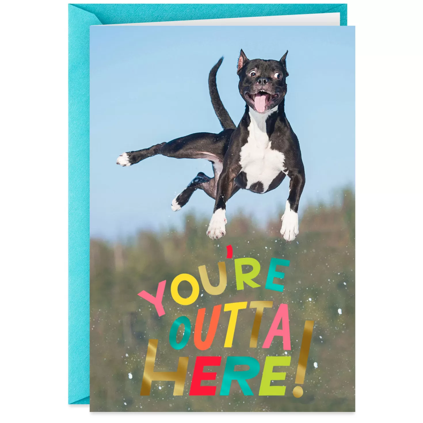 Cheap You'Re Outta Here Jumping Dog Funny Retirement Card Retirement