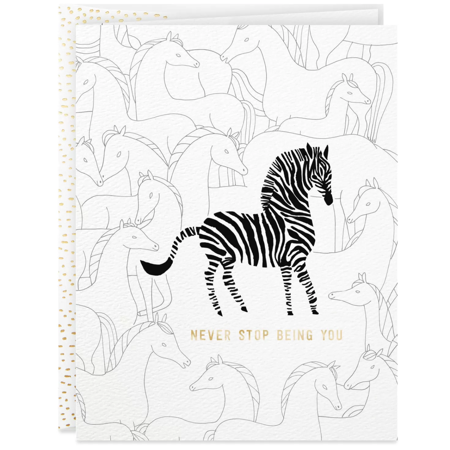 Birthday>Hallmark Zebra Never Stop Being You Birthday Card